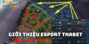 Cá cược Esport tại Thabet