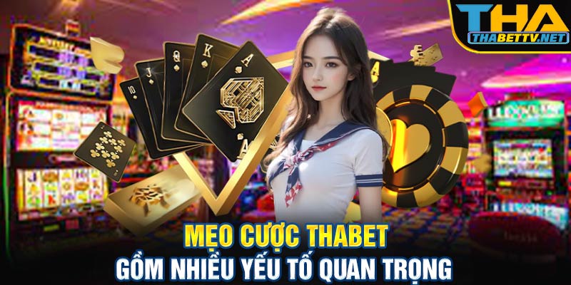 Mẹo cược Thabet gồm nhiều yếu tố quan trọng