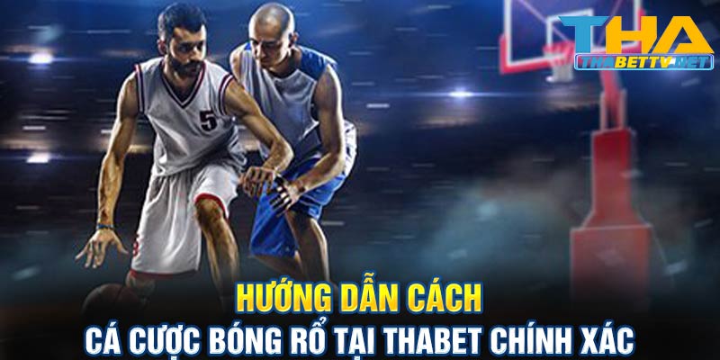 Hướng dẫn cách cá cược bóng rổ tại Thabet chính xác